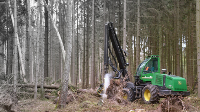 gospodarka-lesna - Stowarzyszenie Przedsiębiorców Leśnych Gołuchów