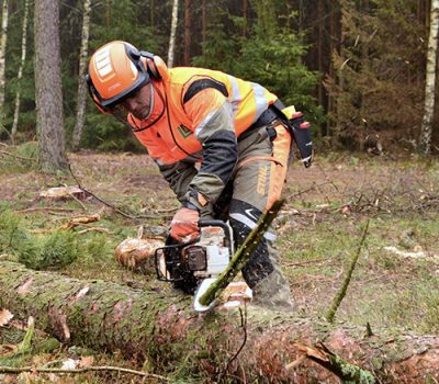 porzadkowanie-terenow-zielonych