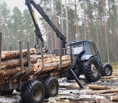 uslugi-specjalistyczne